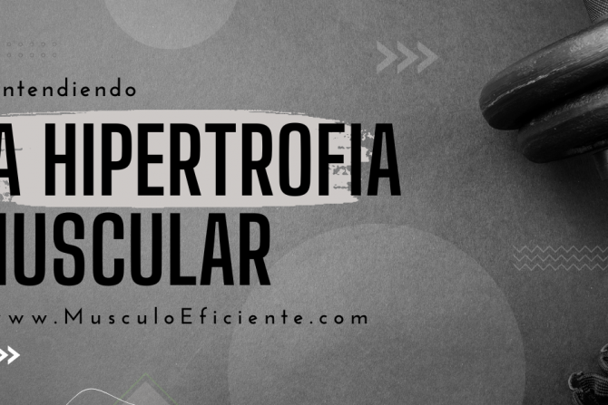 Entendiendo la Hipertrofia Muscular: Conceptos Básicos y Fundamentales